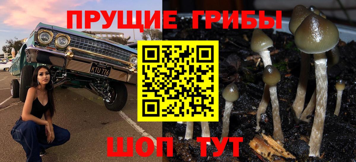 Псилоцибиновые грибы ЛСД  Вход с VPN  Шали 
